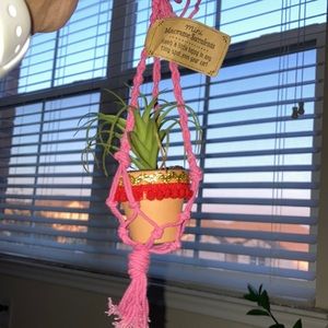 Natural Life mini macramé succulent